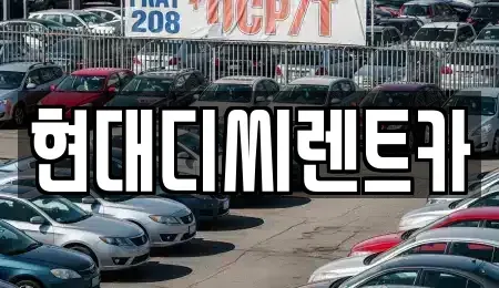 강원특별자치도 철원군 철원읍 렌트카 전문 현대디씨렌트카