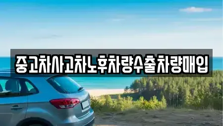 강원특별자치도 춘천시 퇴계동 중고차매입 전문 중고차사고차노후차량수출차량매입