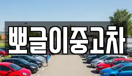 강원특별자치도 태백시 소도동 중고차매매 전문 뽀글이중고차
