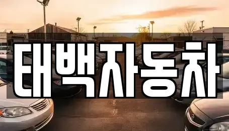 강원특별자치도 태백시 소도동 중고차매매 전문 태백자동차