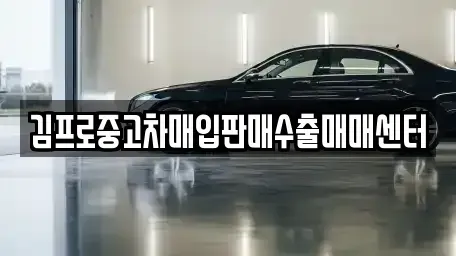 강원특별자치도 태백시 소도동 중고차매입 전문 김프로중고차매입판매수출매매센터