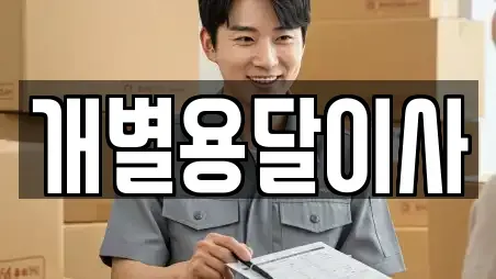 개별용달이사