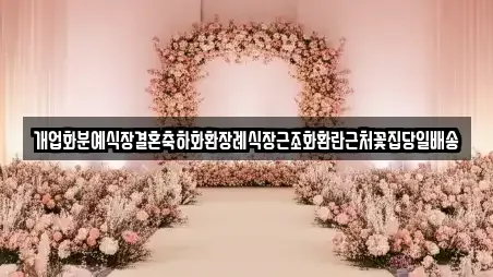 개업화분예식장결혼축하화환장례식장근조화환란근처꽃집당일배송