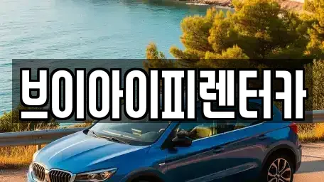 경기 고양시 일산서구 법곳동 렌트카 전문 브이아이피렌터카