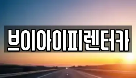 경기 고양시 일산서구 법곳동 렌트카 전문 브이아이피렌터카