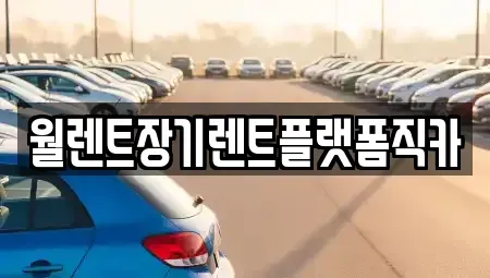 경기 고양시 일산서구 법곳동 렌트카 전문 월렌트장기렌트플랫폼직카