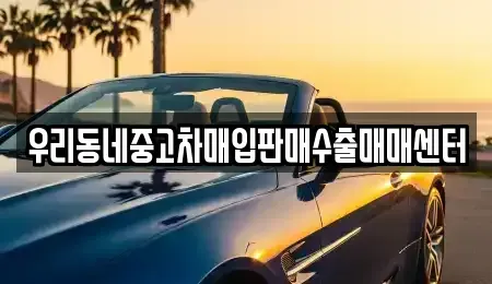 경기 고양시 일산서구 법곳동 중고차 전문 우리동네중고차매입판매수출매매센터
