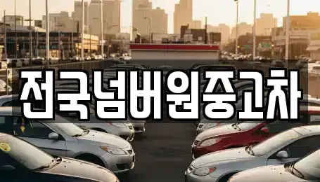 경기 고양시 일산서구 법곳동 중고차 전문 전국넘버원중고차
