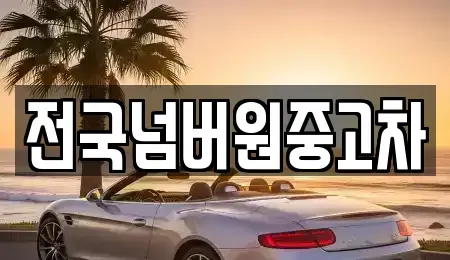 경기 고양시 일산서구 법곳동 중고차 전문 전국넘버원중고차