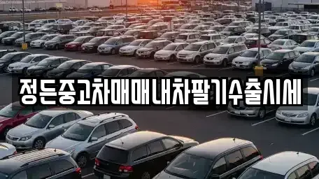 경기 고양시 일산서구 법곳동 중고차 전문 정든중고차매매내차팔기수출시세