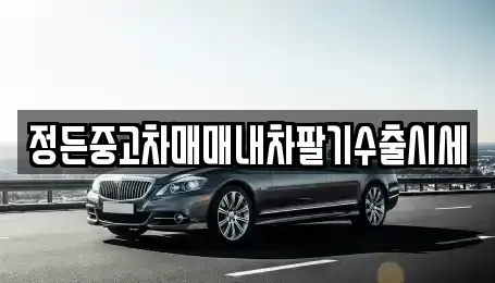 경기 고양시 일산서구 법곳동 중고차 전문 정든중고차매매내차팔기수출시세