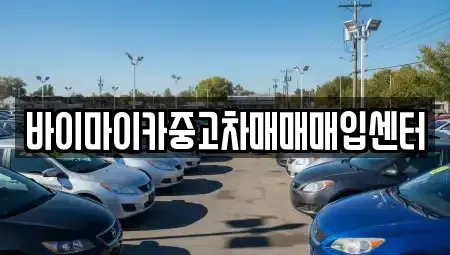 경기 고양시 일산서구 법곳동 중고차매입 전문 바이마이카중고차매매매입센터