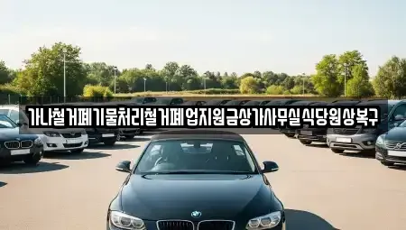 경기 고양시 일산서구 탄현동 렌트카 전문 가나철거폐기물처리철거폐업지원금상가사무실식당원상복구