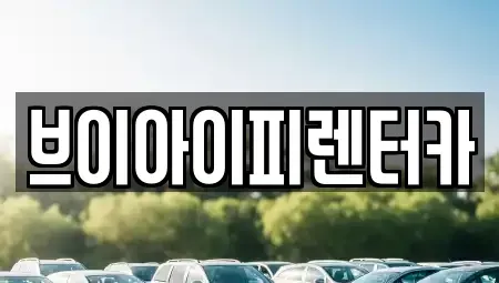 경기 고양시 일산서구 탄현동 렌트카 전문 브이아이피렌터카