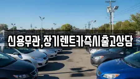 경기 고양시 일산서구 탄현동 렌트카 전문 신용무관,장기렌트카즉시출고상담