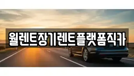 경기 고양시 일산서구 탄현동 장기렌트카 전문 월렌트장기렌트플랫폼직카