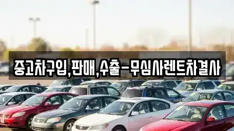 경기 고양시 일산서구 탄현동 중고차 전문 중고차구입,판매,수출-무심사렌트차결사