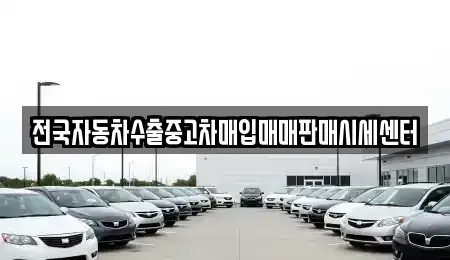 경기 고양시 일산서구 탄현동 중고차매입 전문 전국자동차수출중고차매입매매판매시세센터