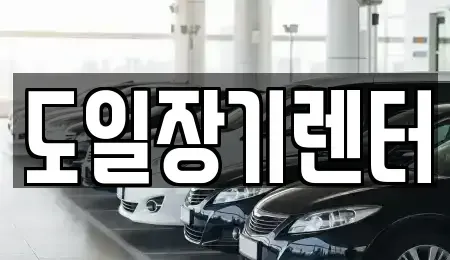 경기 광주시 신현동 단기렌트카 전문 도일장기렌터