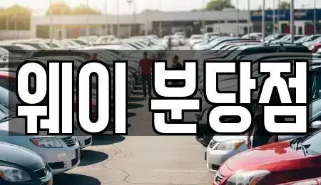 경기 광주시 신현동 단기렌트카 전문 웨이 분당점