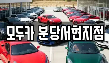 경기 광주시 신현동 렌트카 전문 모두카 분당서현지점