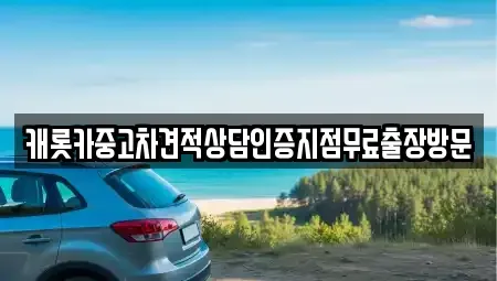 경기 광주시 신현동 중고차매매 전문 캐롯카중고차견적상담인증지점무료출장방문