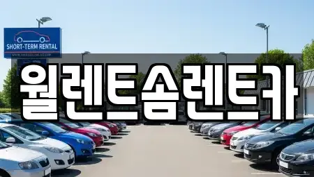 경기 구리시 사노동 렌트카 전문 월렌트솜렌트카