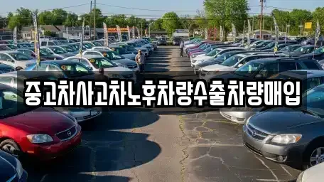 경기 구리시 사노동 중고차매입 전문 중고차사고차노후차량수출차량매입