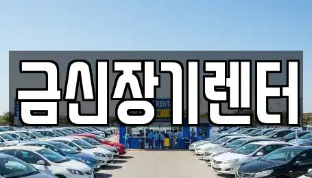 경기 김포시 단기렌트카 전문 금신장기렌터