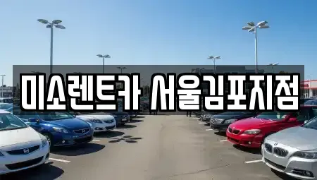 경기 김포시 렌트카 전문 미소렌트카 서울김포지점