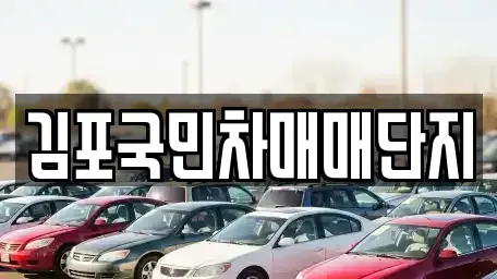 경기 김포시 중고차매매 전문 김포국민차매매단지