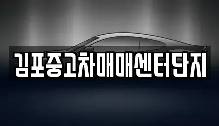 경기 김포시 중고차매매 전문 김포중고차매매센터단지
