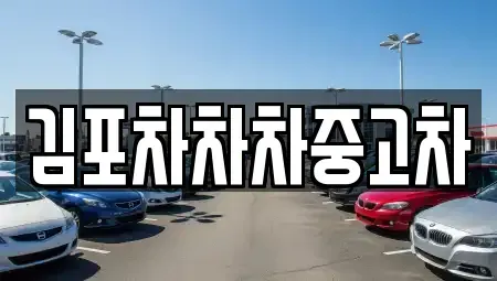 경기 김포시 중고차매매 전문 김포차차차중고차