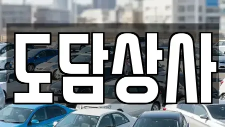 경기 김포시 중고차매매 전문 도담상사