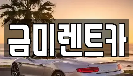 경기 부천시 오정구 원종동 렌트카 전문 금미렌트카