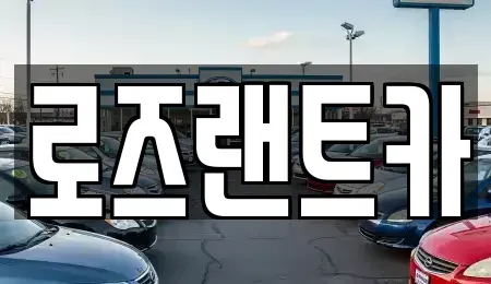 경기 성남시 수정구 심곡동 단기렌트카 전문 로즈랜트카