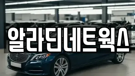 경기 성남시 수정구 심곡동 렌트카 전문 알라딘네트웍스