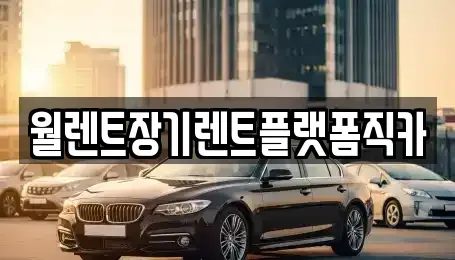 경기 성남시 수정구 심곡동 렌트카 전문 월렌트장기렌트플랫폼직카