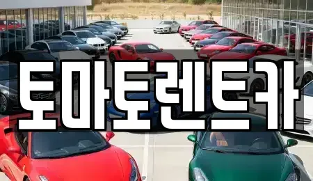 경기 성남시 수정구 심곡동 렌트카 전문 토마토렌트카