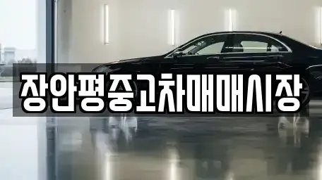 경기 성남시 수정구 심곡동 중고차 전문 장안평중고차매매시장
