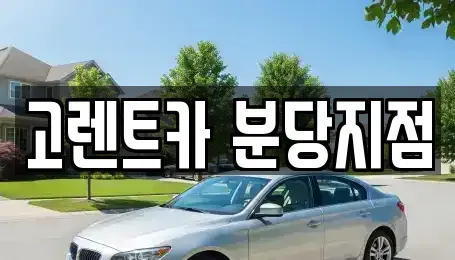 경기 수원시 권선구 세류동 단기렌트카 전문 고렌트카 분당지점