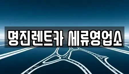 경기 수원시 권선구 세류동 렌트카 전문 명진렌트카 세류영업소