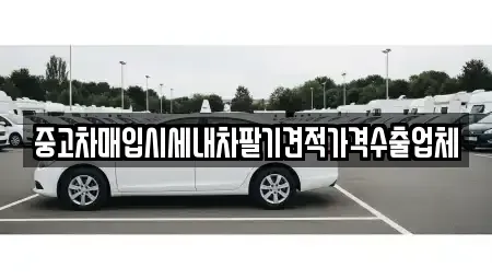 경기 수원시 권선구 세류동 중고차매입 전문 중고차매입시세내차팔기견적가격수출업체