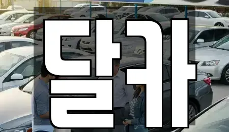 경기 수원시 권선구 탑동 단기렌트카 전문 달카