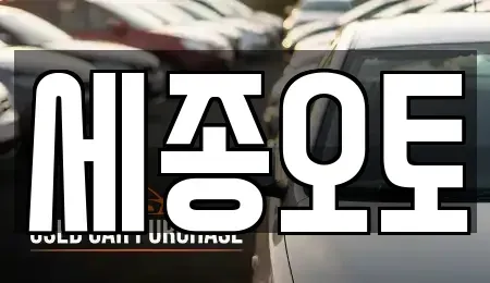 경기 수원시 권선구 탑동 렌트카 전문 세종오토
