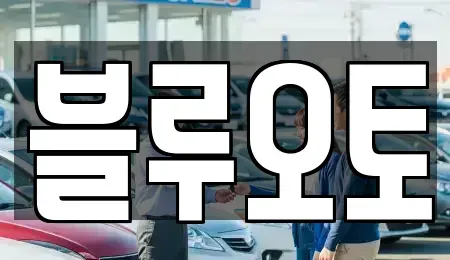 경기 수원시 권선구 탑동 중고차매매 전문 블루오토