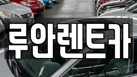 경기 수원시 권선구 평동 장기렌트카 전문 루안렌트카