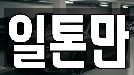 경기 수원시 권선구 평동 중고차매매 전문 일톤만