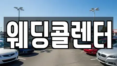 경기 수원시 장안구 단기렌트카 전문 웨딩콜렌터