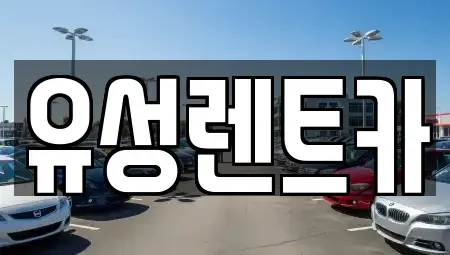 경기 수원시 장안구 렌트카 전문 유성렌트카